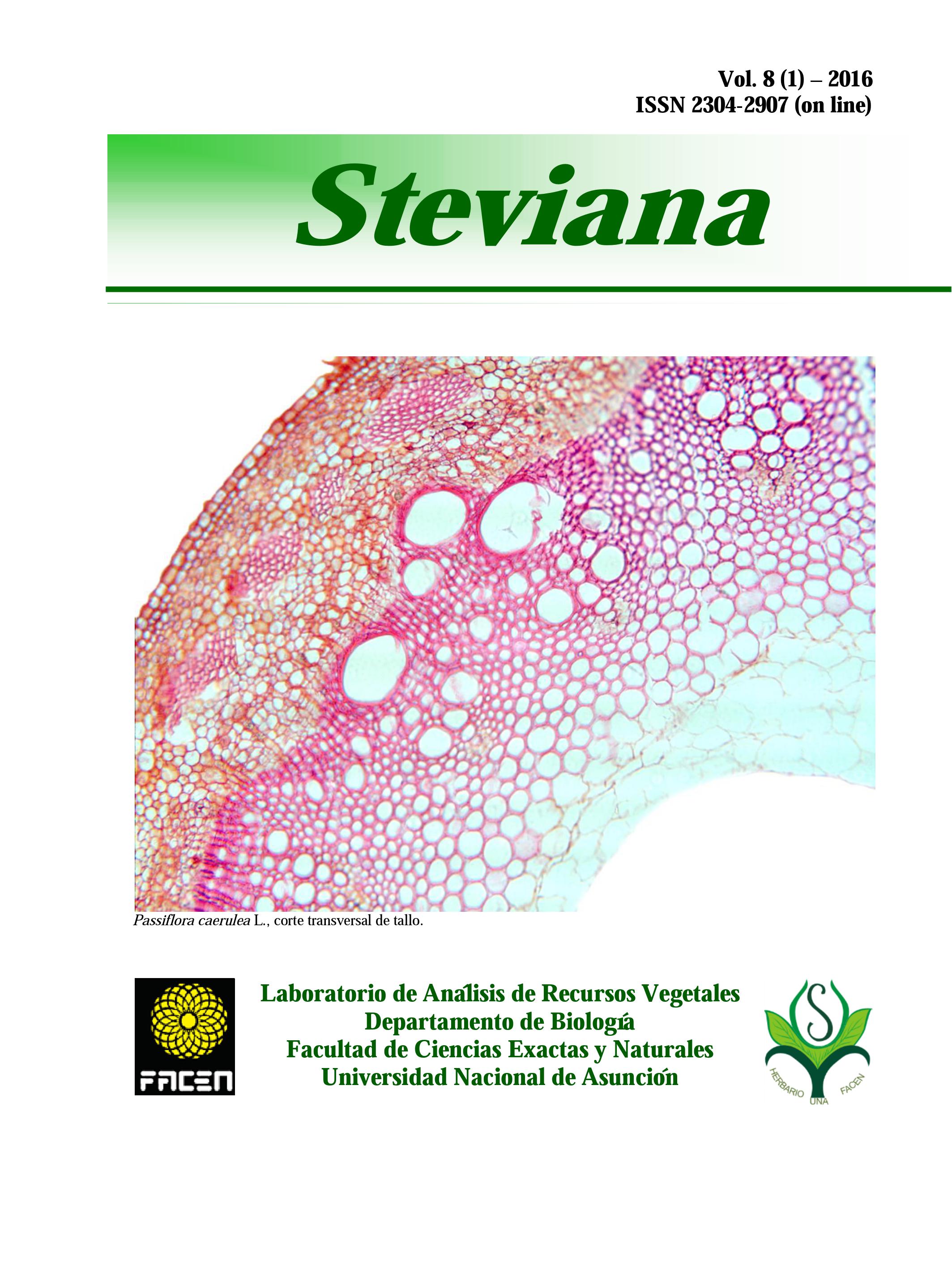 Steviana Vol 8